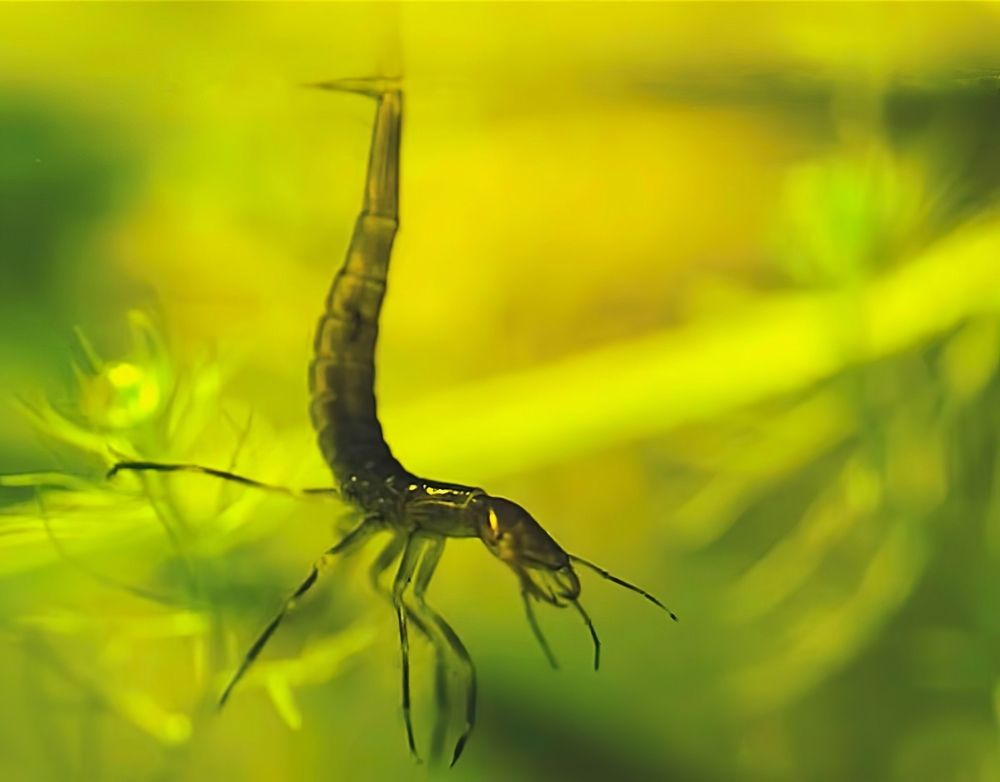 Проветривание