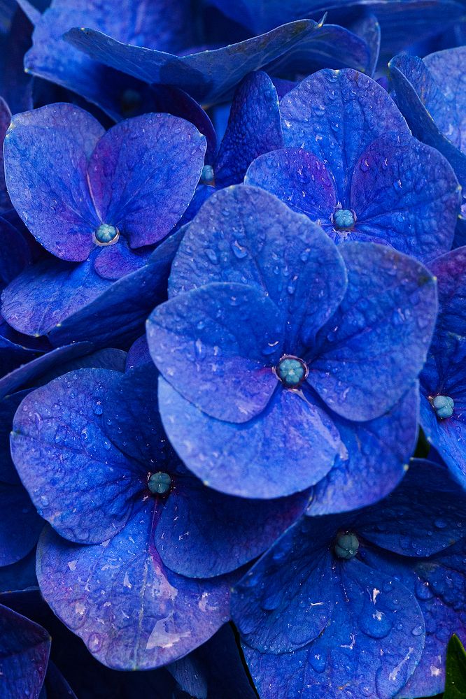 Photograph by Anna Sindikayeva