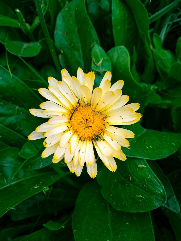 Photograph by Batool Sana