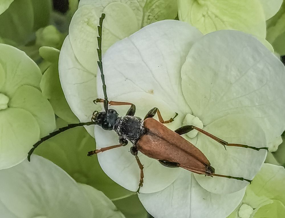 Photograph by Владимир Орлов