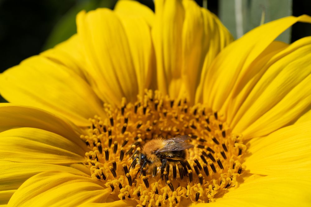 Photograph by Олег Крец