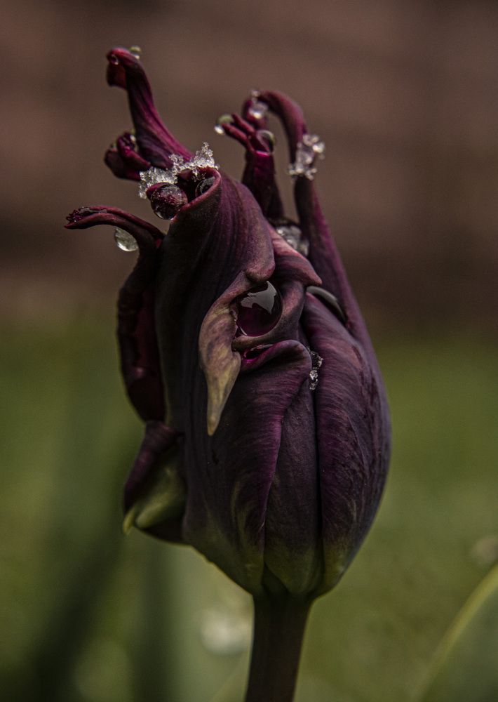 Photograph by Ольга Лобова