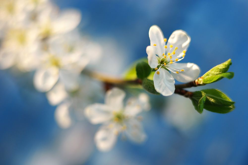 Photograph by Дмитрий Ткаченко