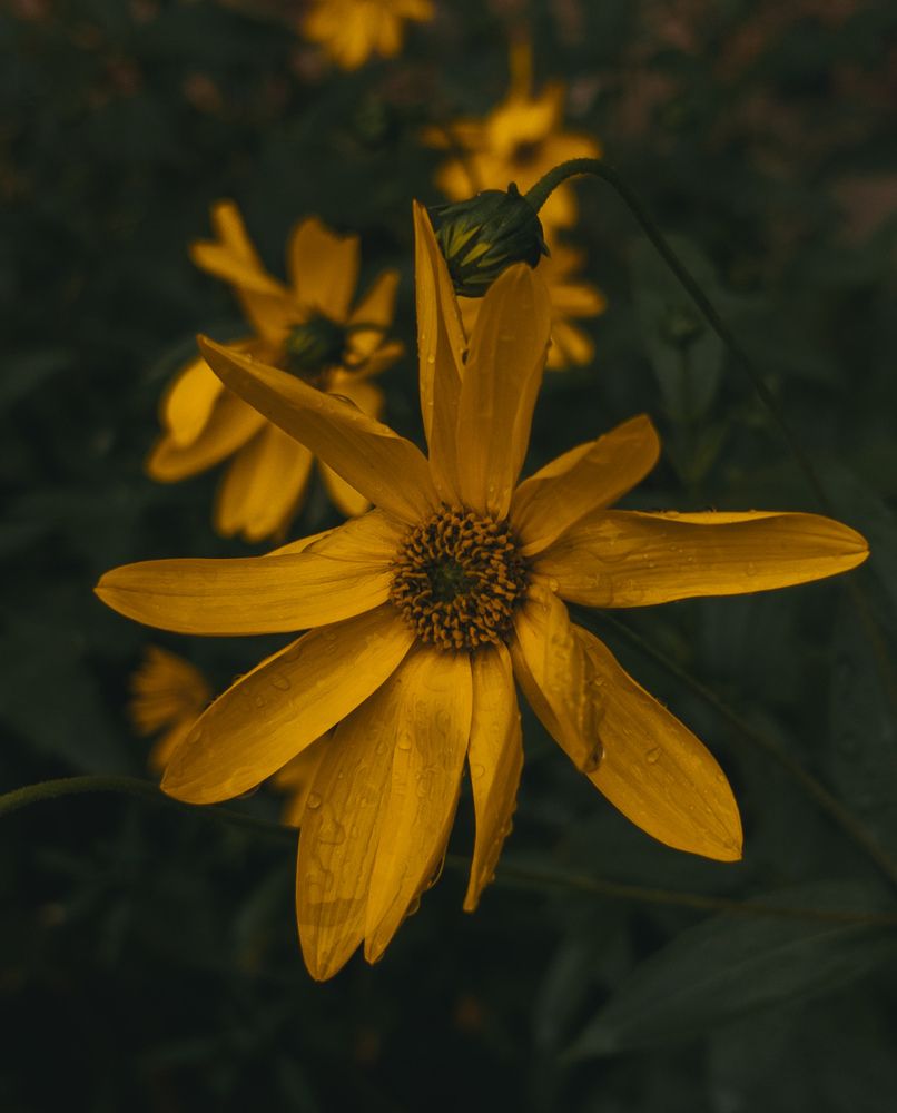 Photograph by Ника Савинкина