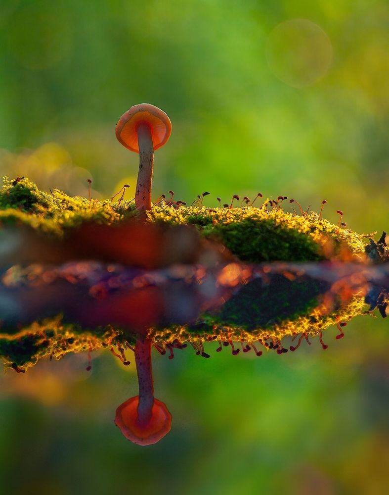 Photograph by Владимир