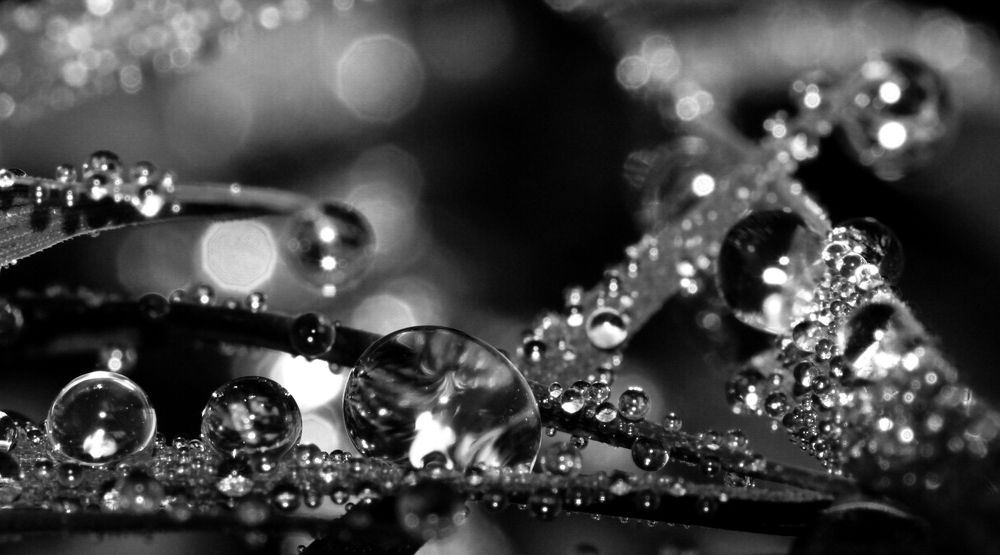 Photograph by Вячеслав Швецов