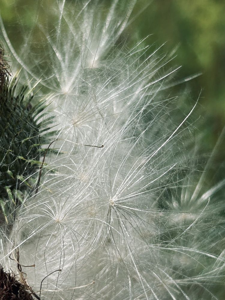 Photograph by Елена Маркова