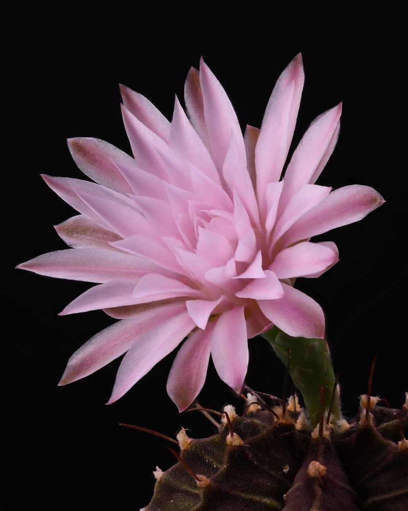 Photograph by Пономарев Илья