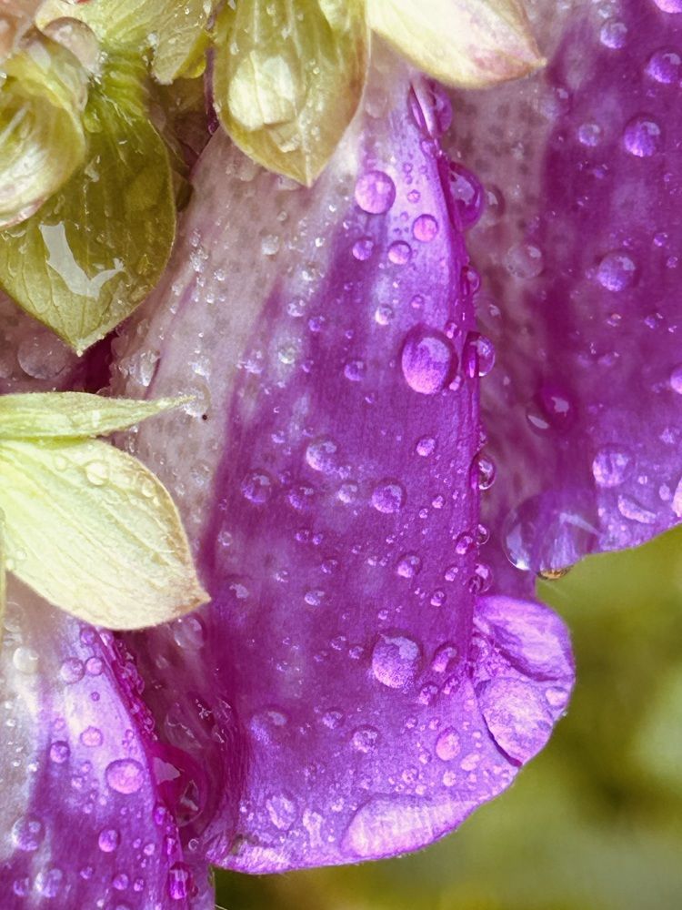 Photograph by Елена Маркова