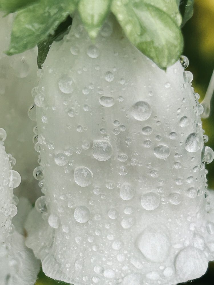 Photograph by Елена Маркова