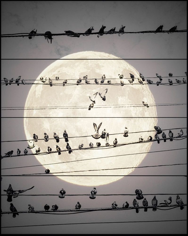 Photograph by Inna Sknara