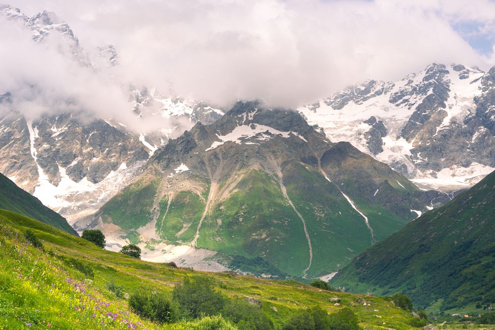 Photograph by Sweta Mishra