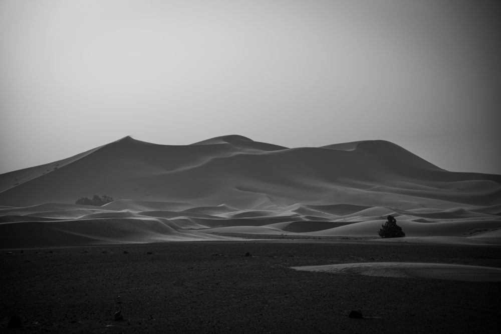 Photograph by Lodi Pertovt