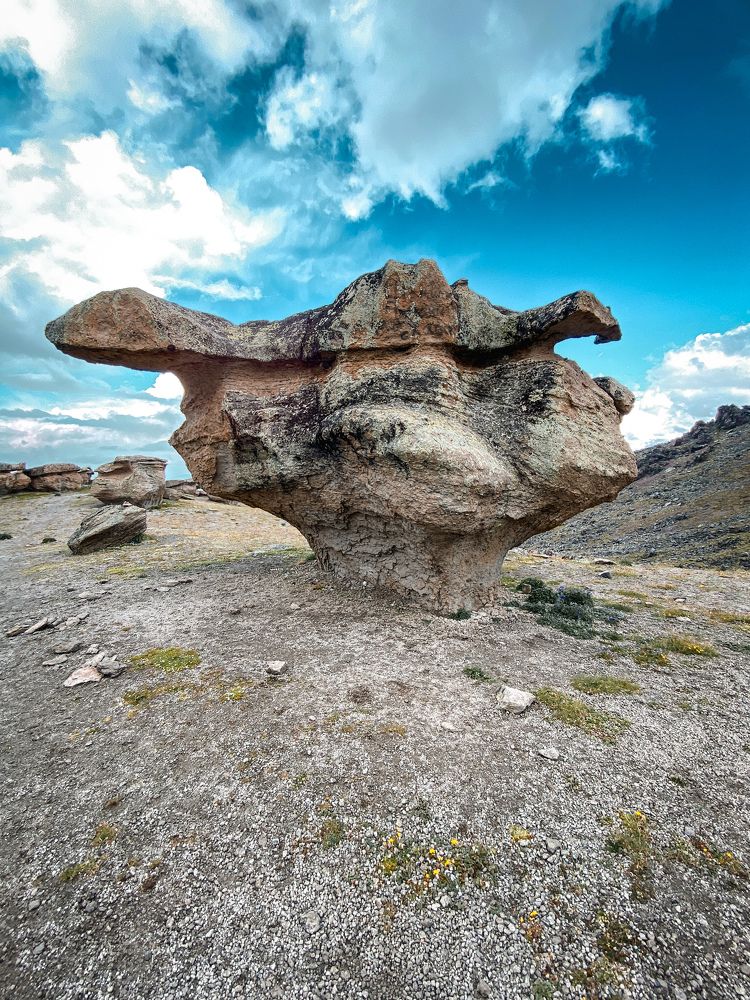 Фотография автора Андрей Болотин