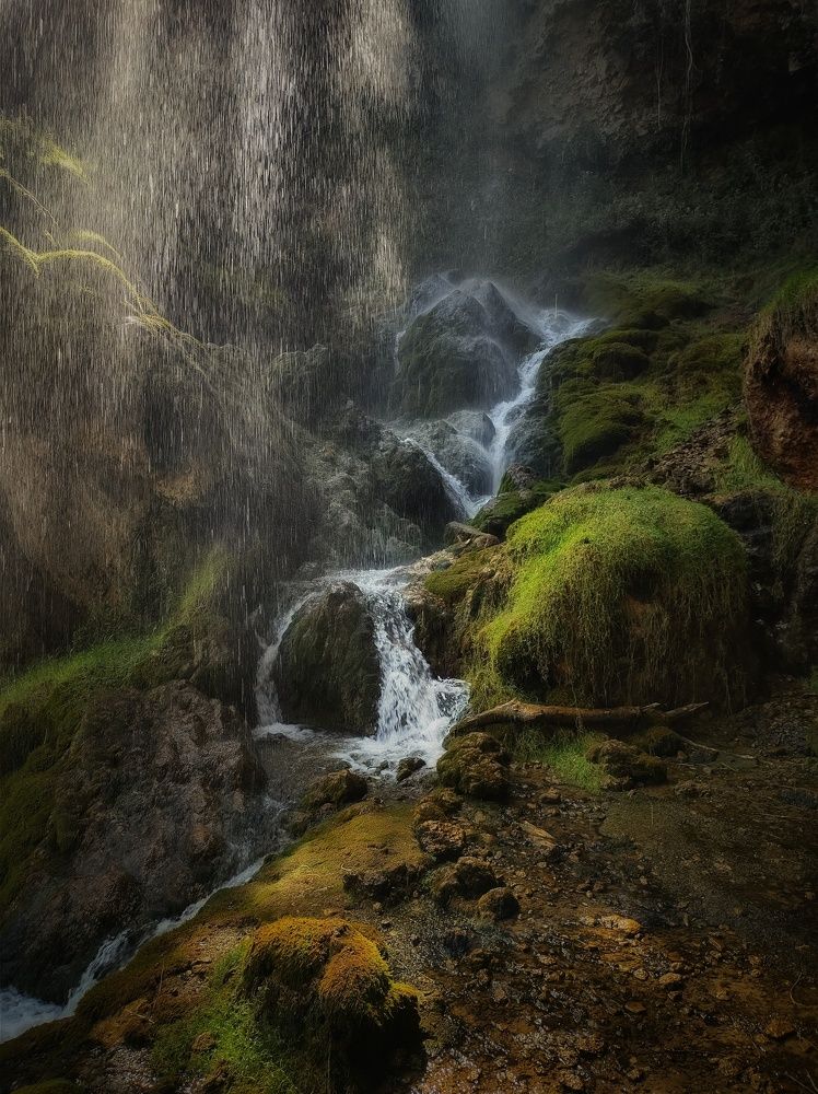 Фотография автора Юлияна Стоянова