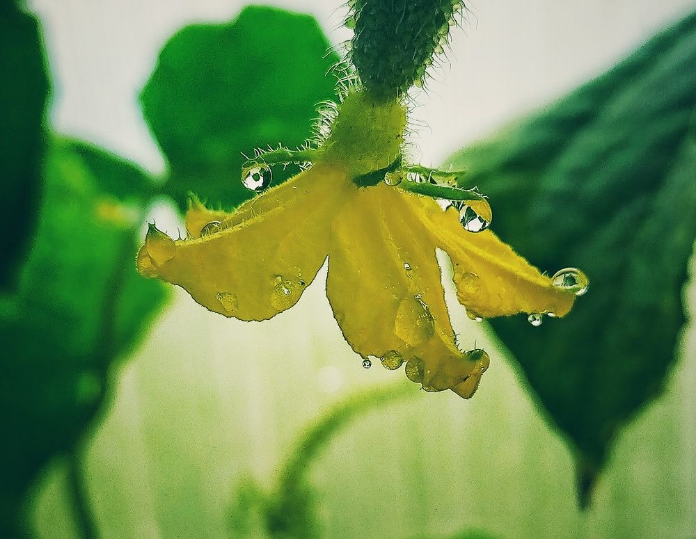 Photograph by Ольга Мартьянова