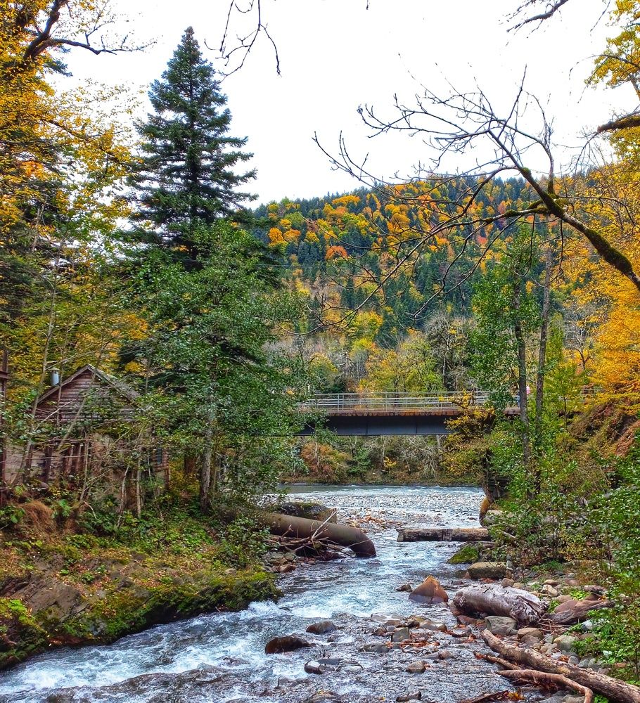 Photograph by Юлия Коробкова