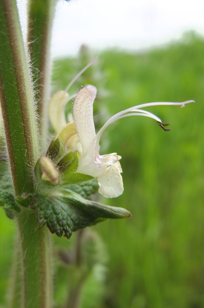 Photograph by Анна Матецкая