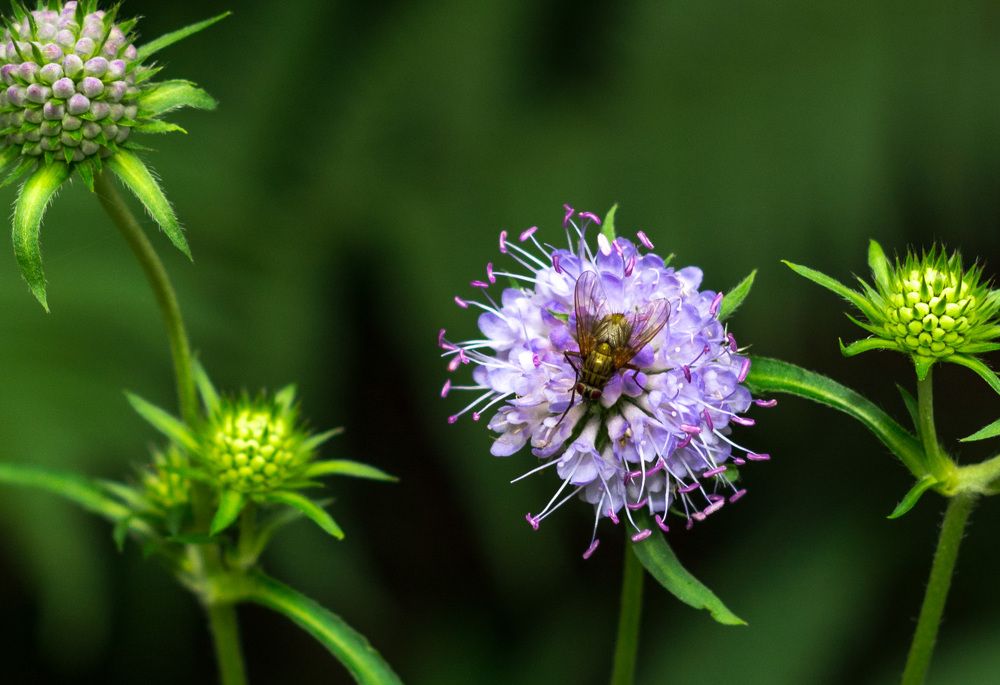 Photograph by Анна Овсянникова
