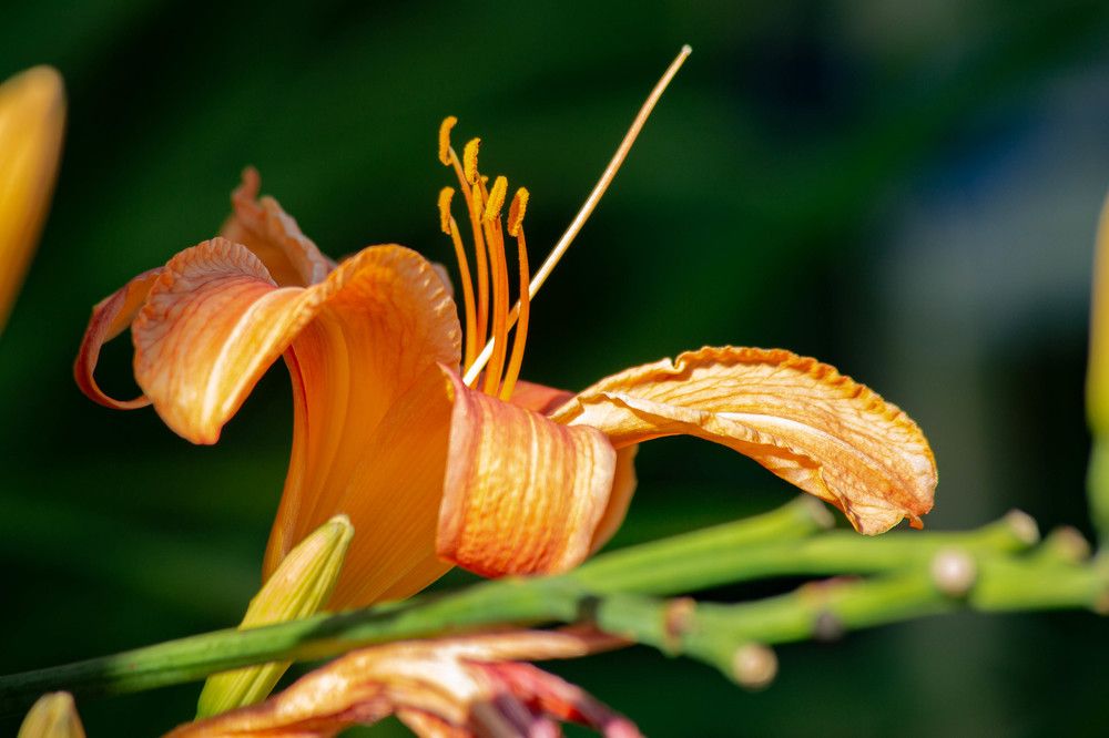 Photograph by Евгений Авдеев