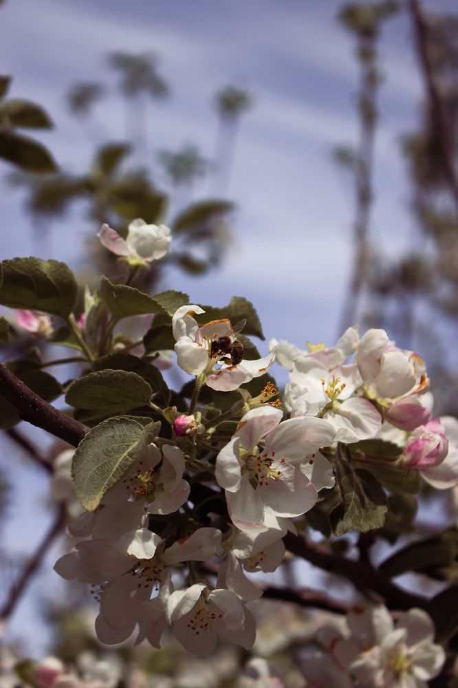 Фотография автора Анастасия Горбунова