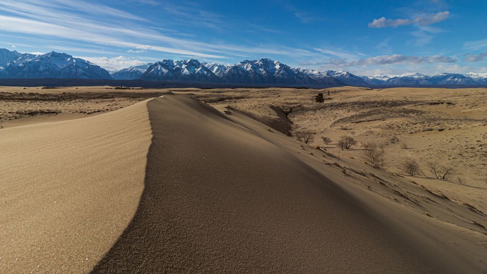 Фотография автора Александр Довганюк