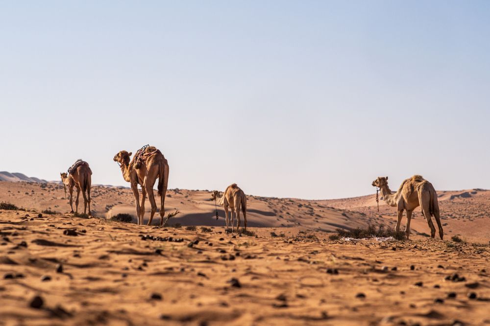 Photograph by Alex Belov