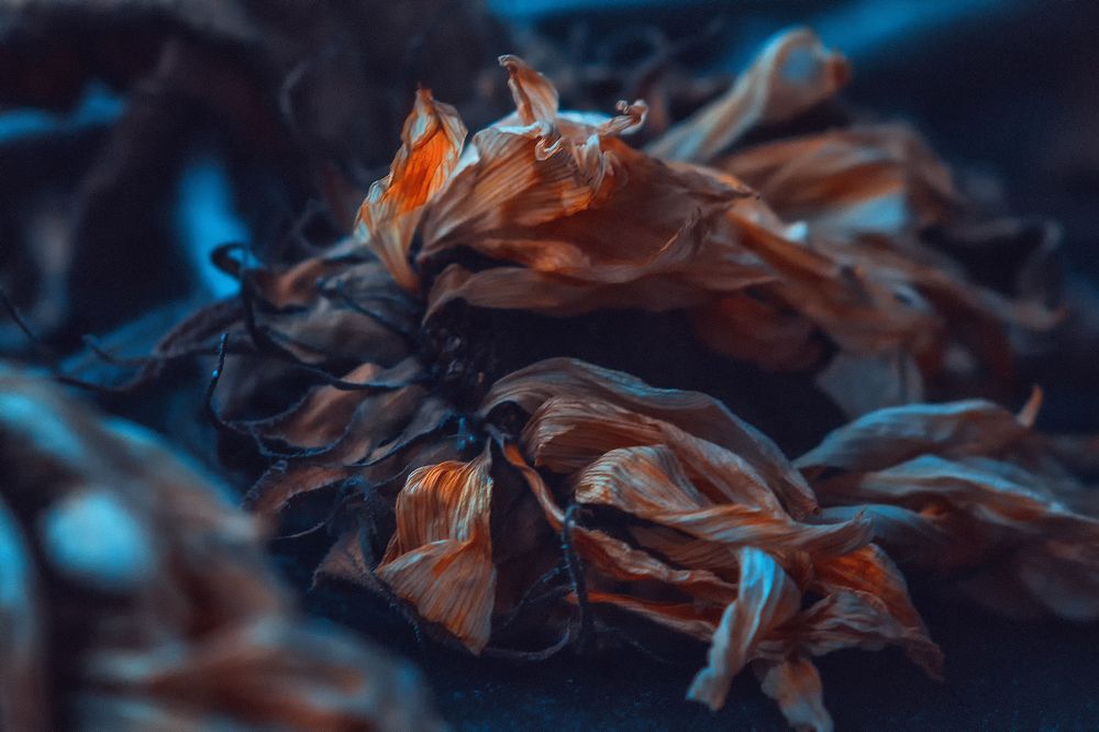 Photograph by Lana Soldatova