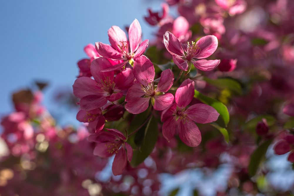 Photograph by Rimma Larkina