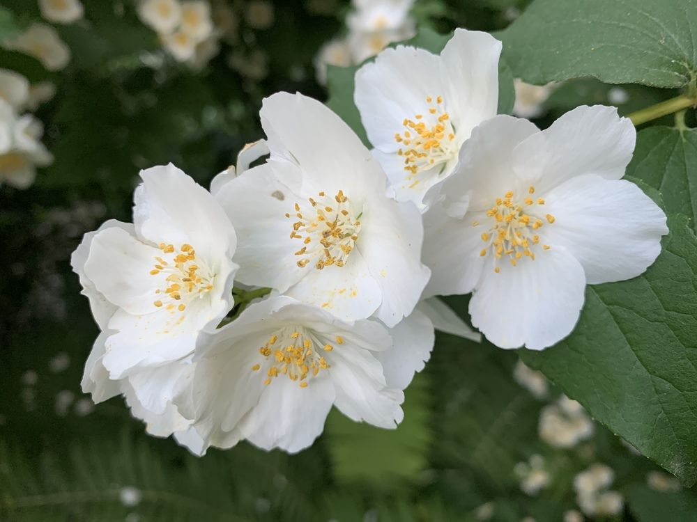 Фотография автора Борис Соколов