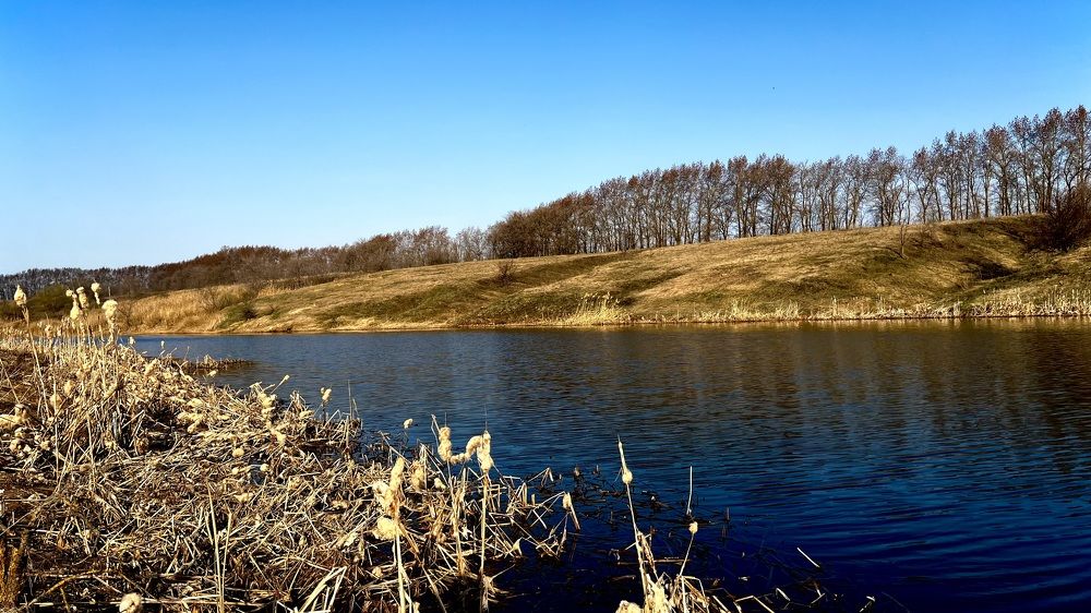 Photograph by Марина Козлова