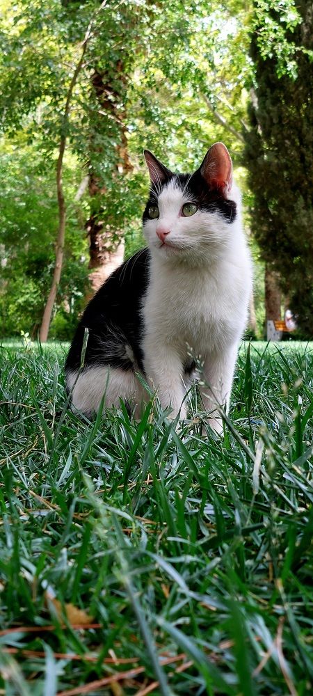 Photograph by Zahra Tavakoli