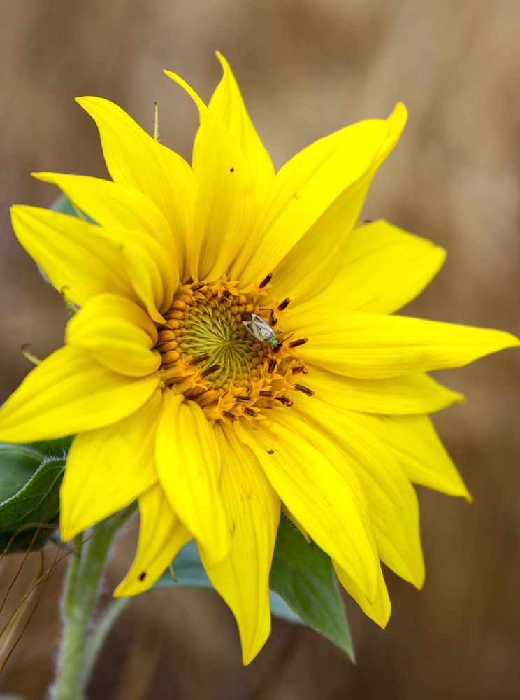 Photograph by Елена Рудкевич