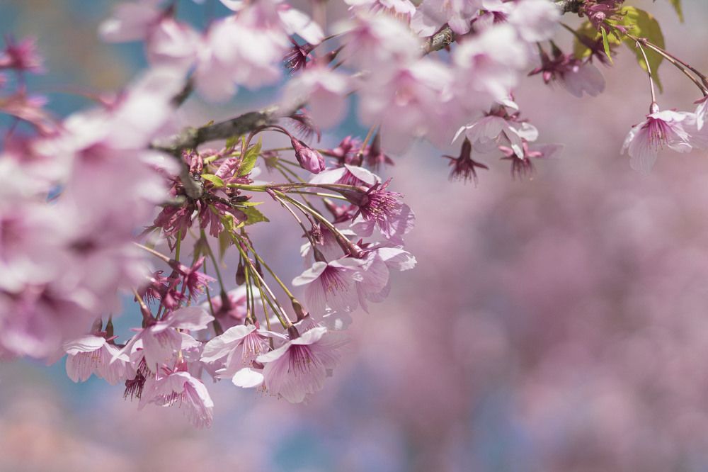 Photograph by Майя Чехова