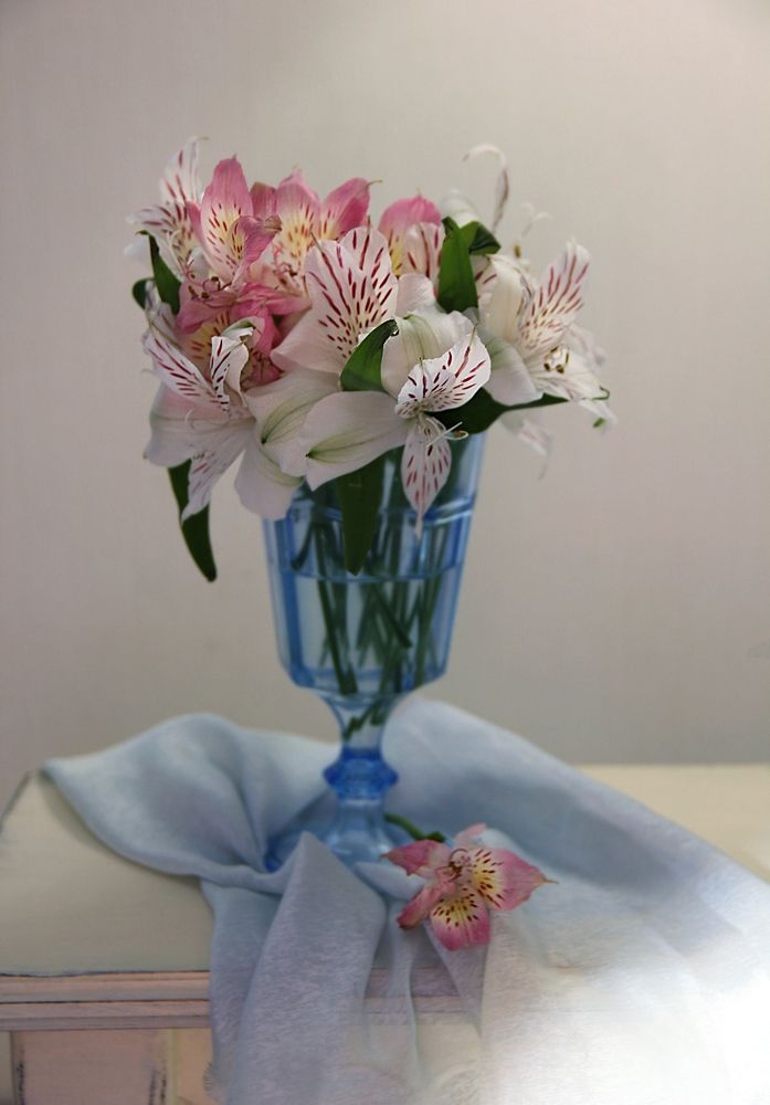 Photograph by Наталья Соколова