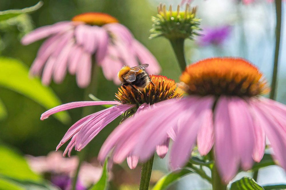 Photograph by Юрий Десятов