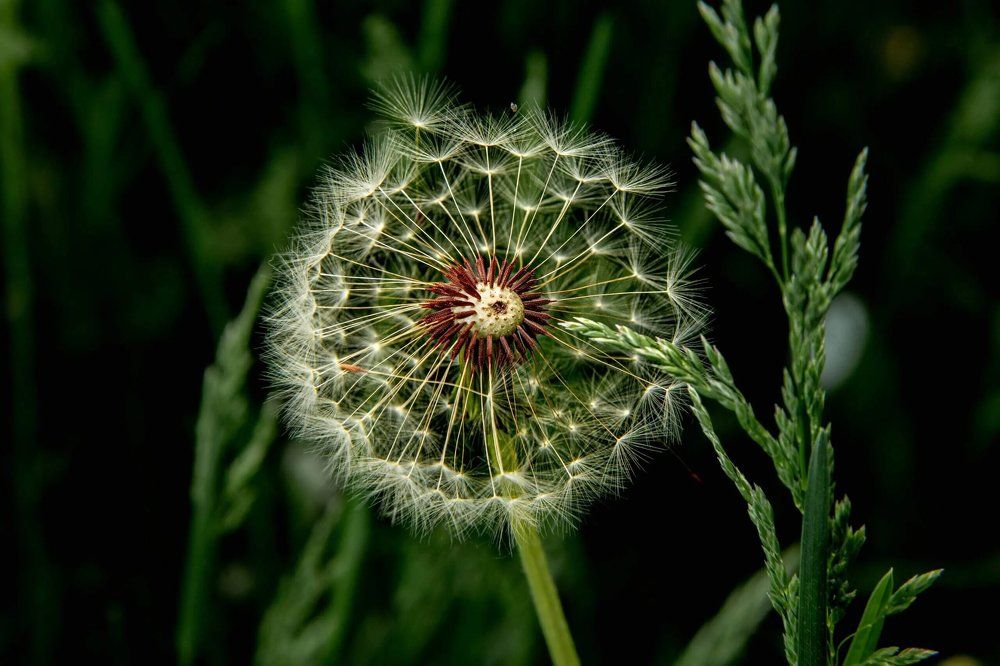 Photograph by Юрий Десятов