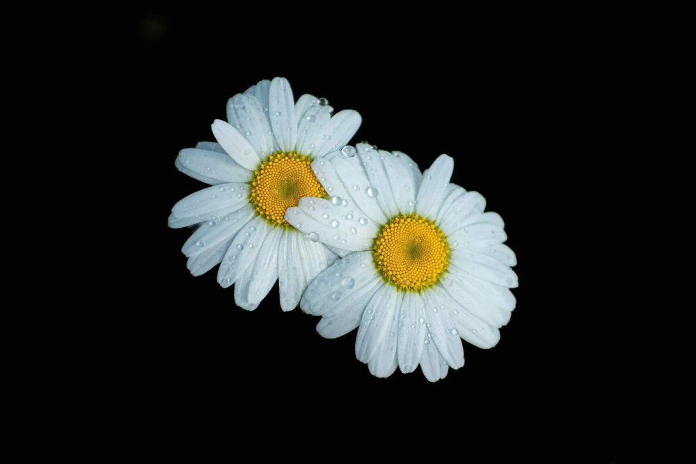 Photograph by Юрий Десятов