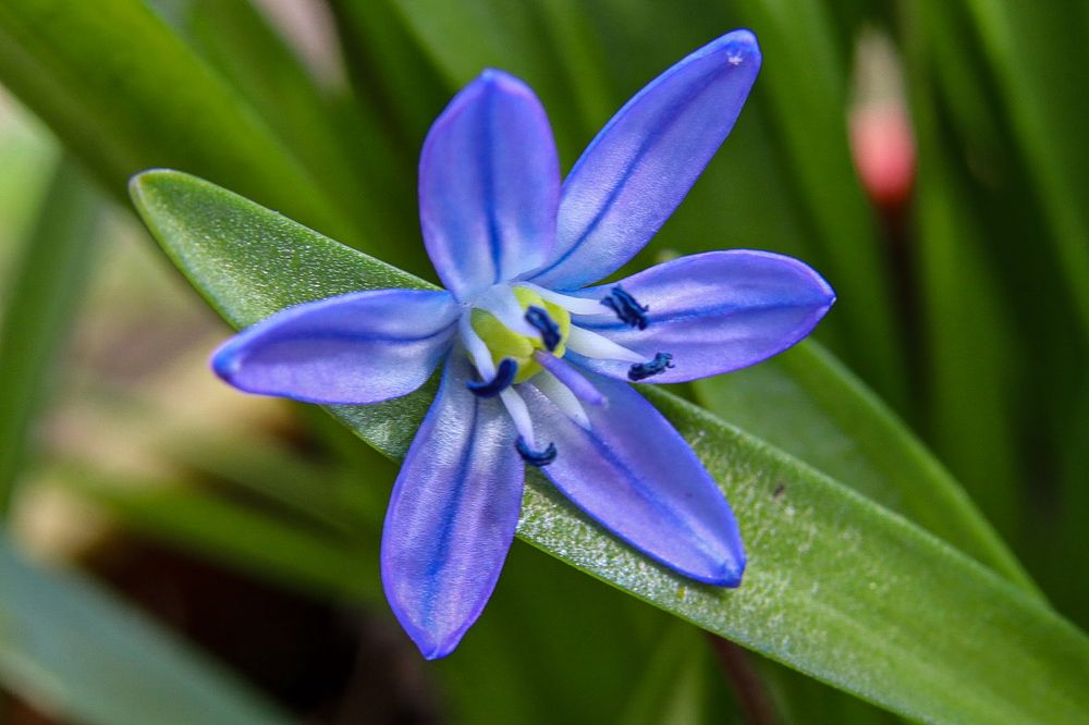 Photograph by Елена Рудкевич