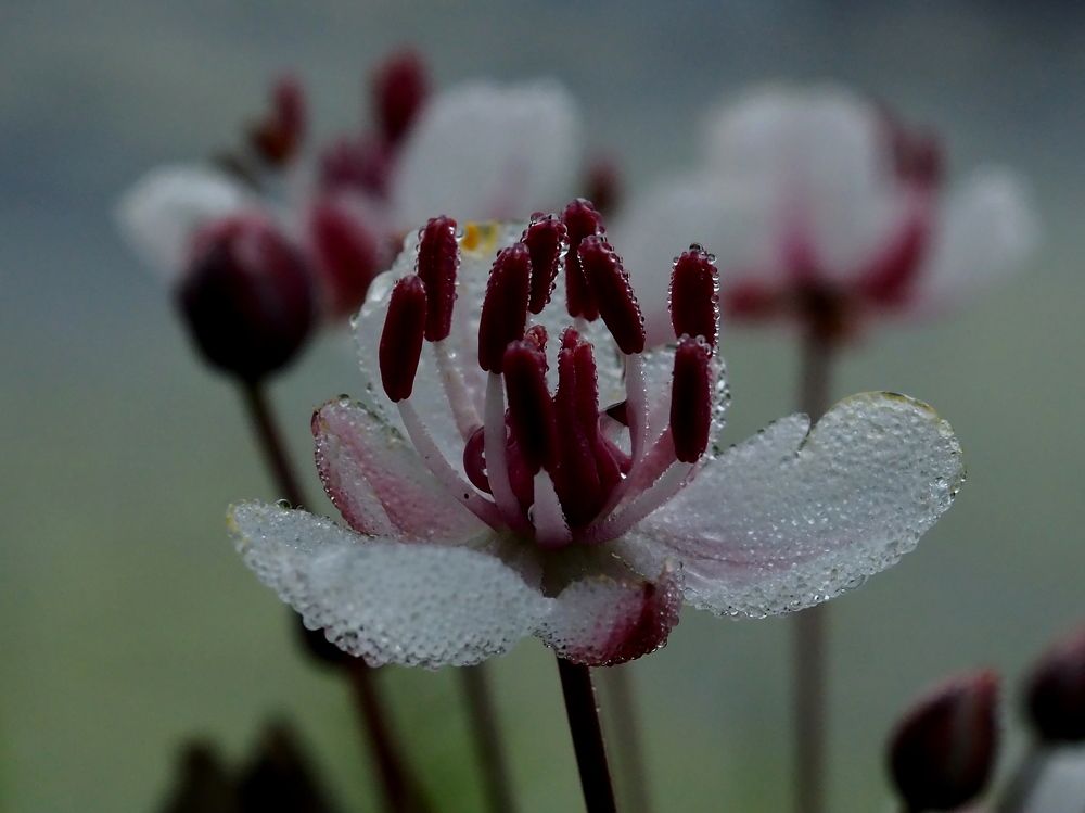 Photograph by Елена Харитонова