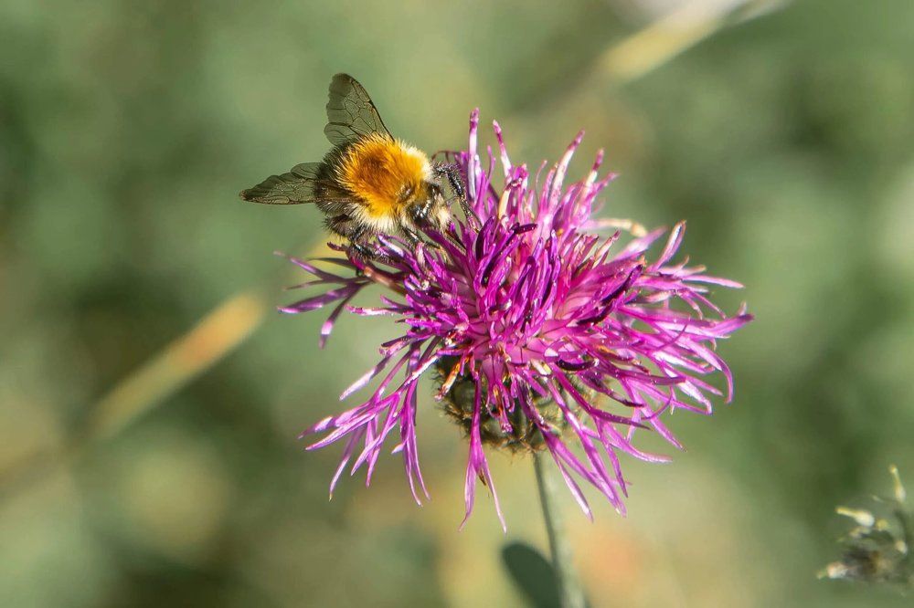 Photograph by Юрий Десятов