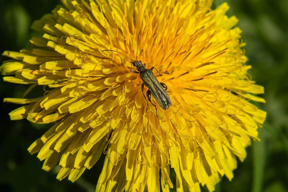 Photograph by Юрий Десятов