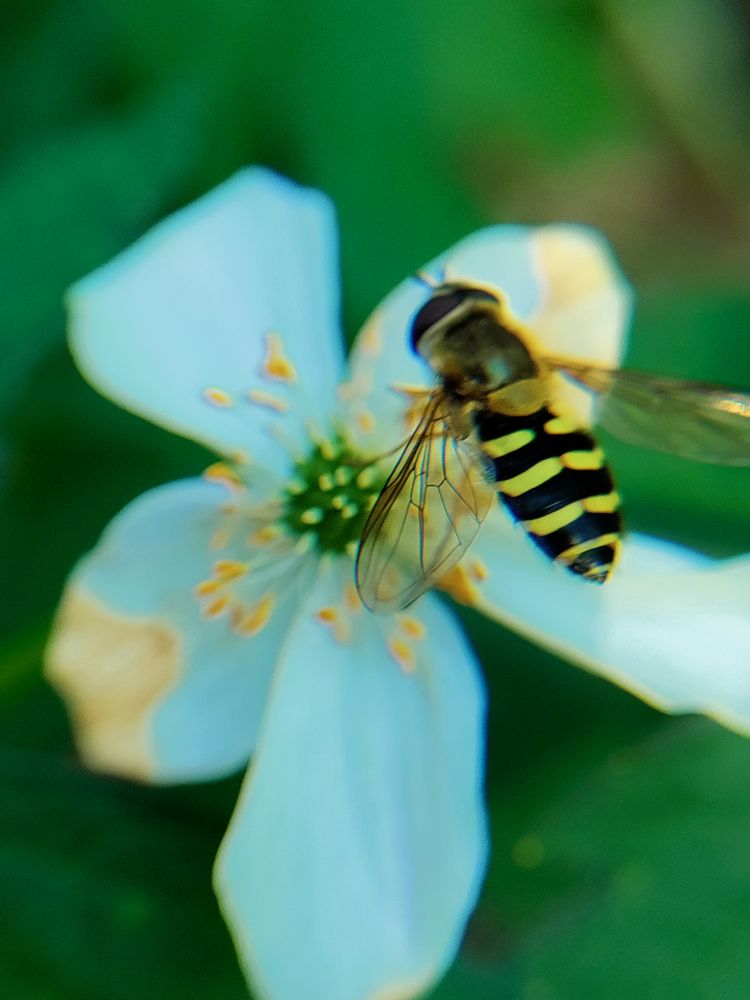 Photograph by Елена Шишкина