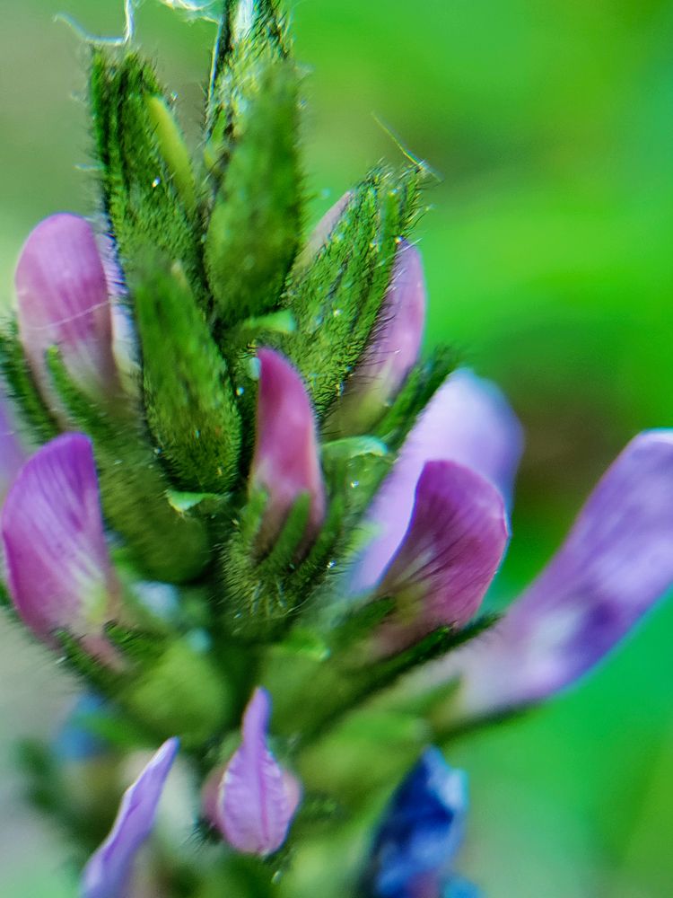 Photograph by Елена Шишкина