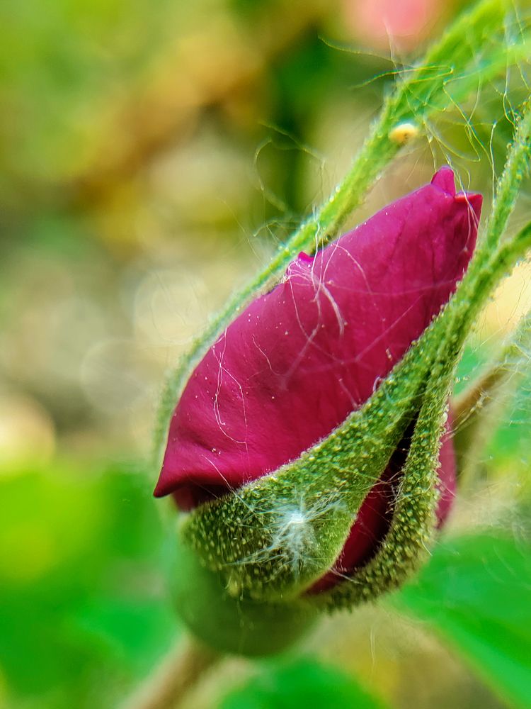 Photograph by Елена Шишкина