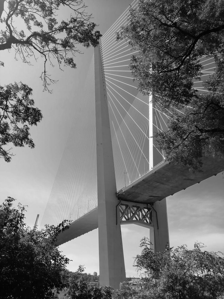 Photograph by Дарья