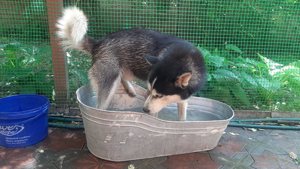 Photograph by Евгения Самвеловна Григорян