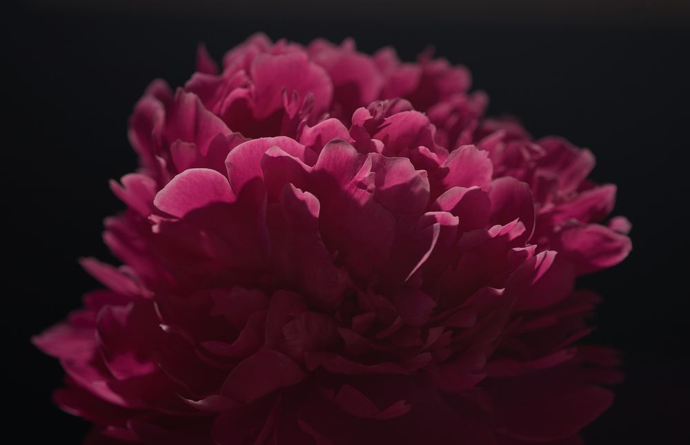 Photograph by Ольга Шибяева