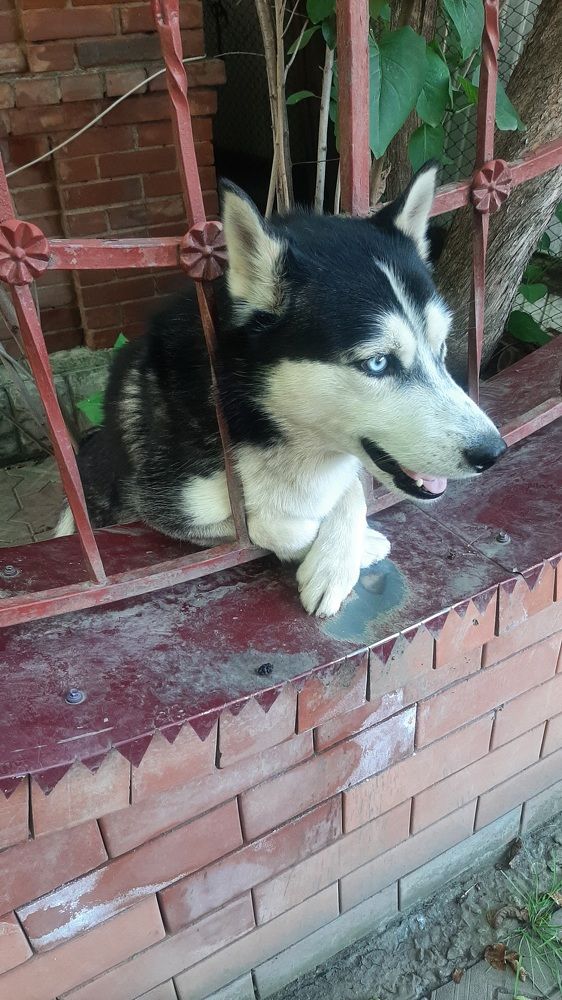 Photograph by Евгения Самвеловна Григорян