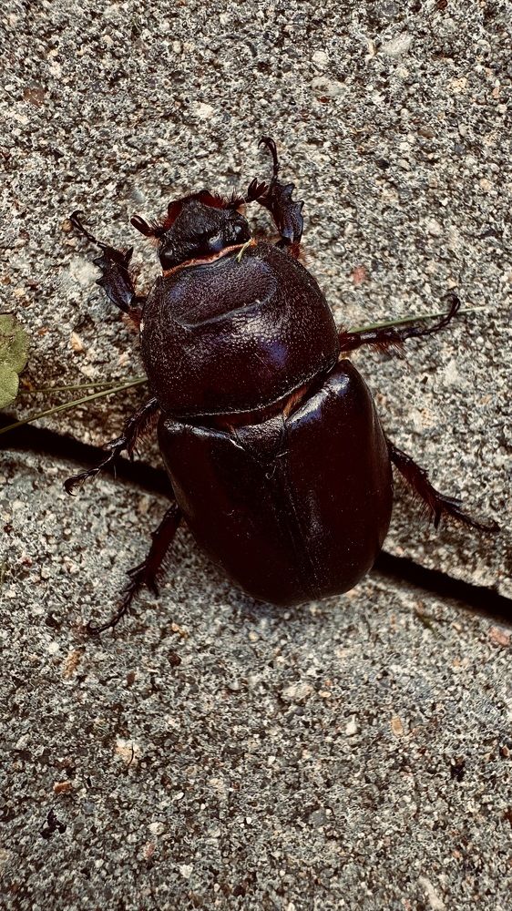 Photograph by Светлана